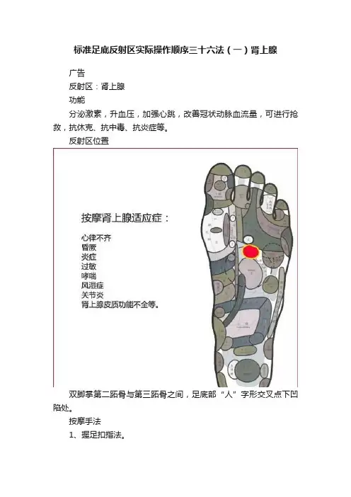 标准足底反射区实际操作顺序三十六法（一）肾上腺