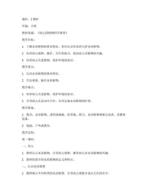 小班水培植物模板教案设计