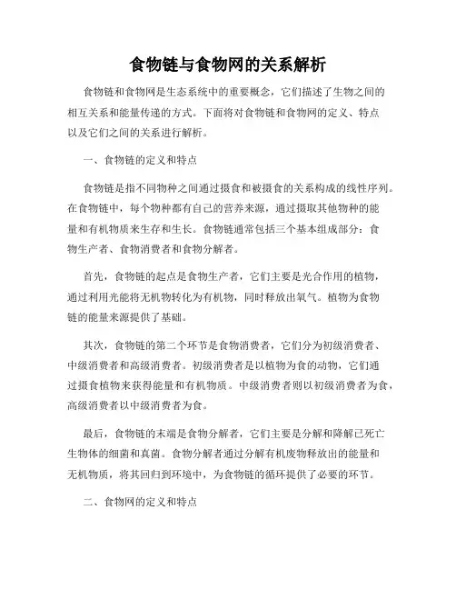 食物链与食物网的关系解析