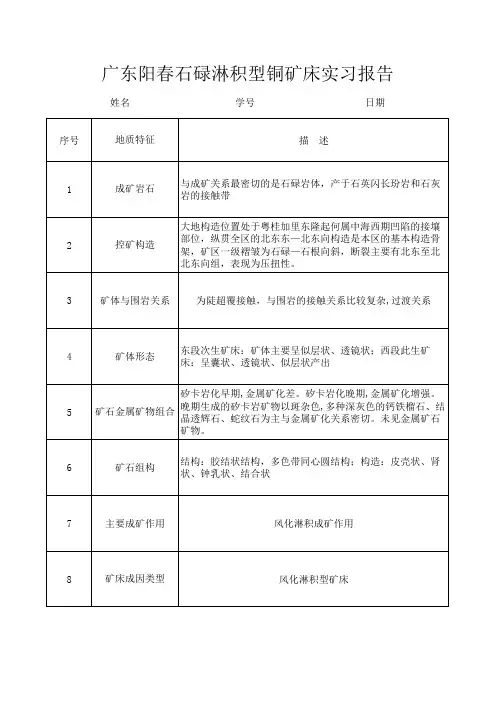 广东阳春石碌淋积型铜矿矿床