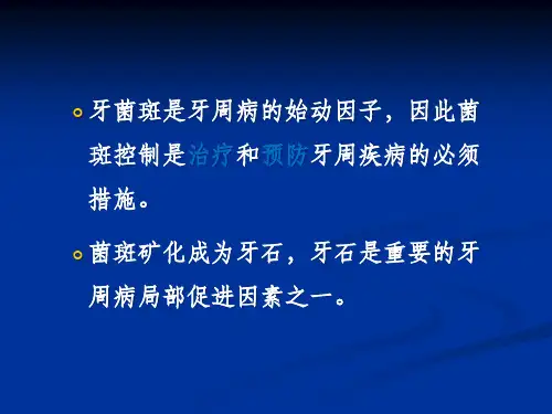 龈上洁治术刚.pptx