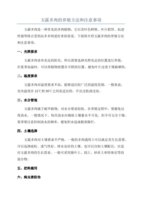玉露多肉的养殖方法和注意事项