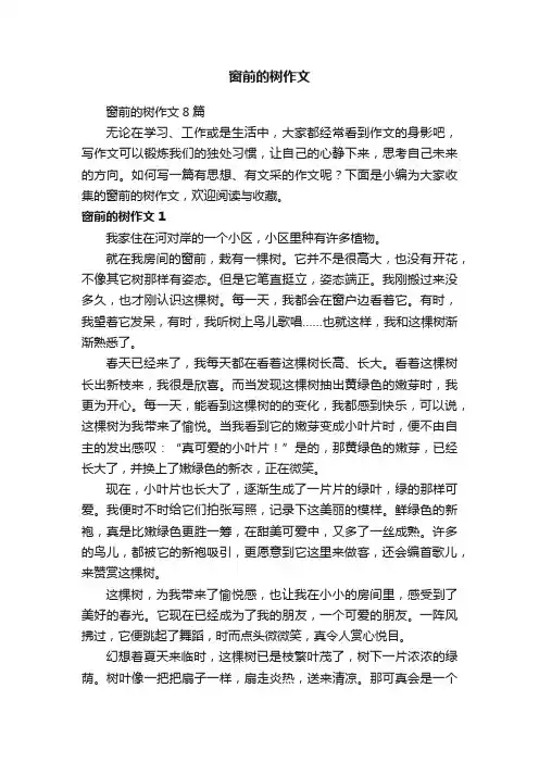 窗前的树作文8篇