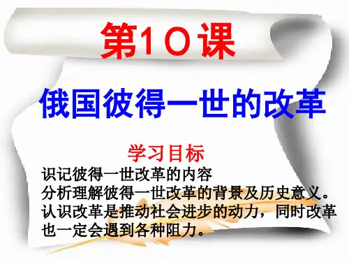 俄国彼得一世的改革PPT课件5 岳麓版