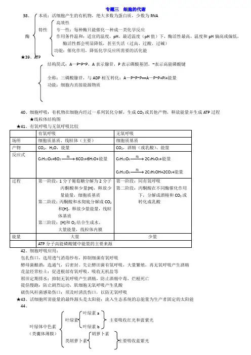 广东省学业水平考试高中生物 专题三细胞的代谢