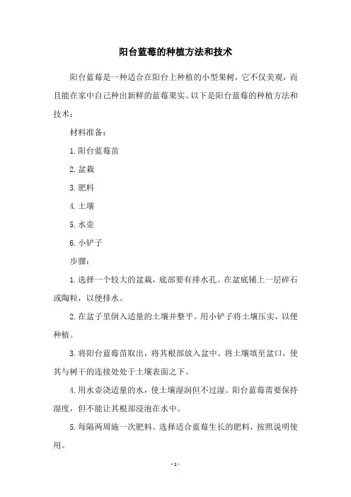 阳台蓝莓的种植方法和技术