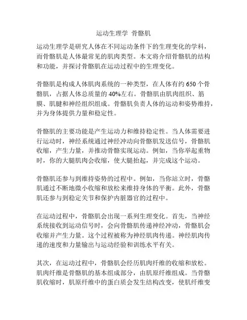 运动生理学  骨骼肌 