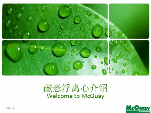 磁悬浮离心介绍WME