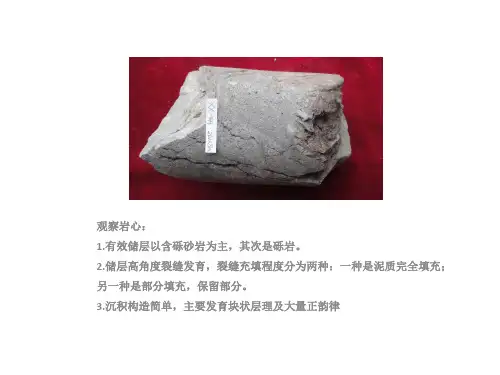 岩石物理常见岩心及描述(上)