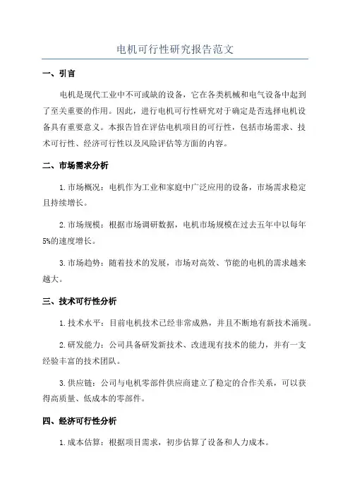 电机可行性研究报告范文