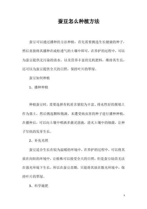 蚕豆怎么种植方法