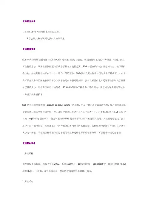 SDS-聚丙烯酰胺凝胶电泳法——蛋白质的分子量测定