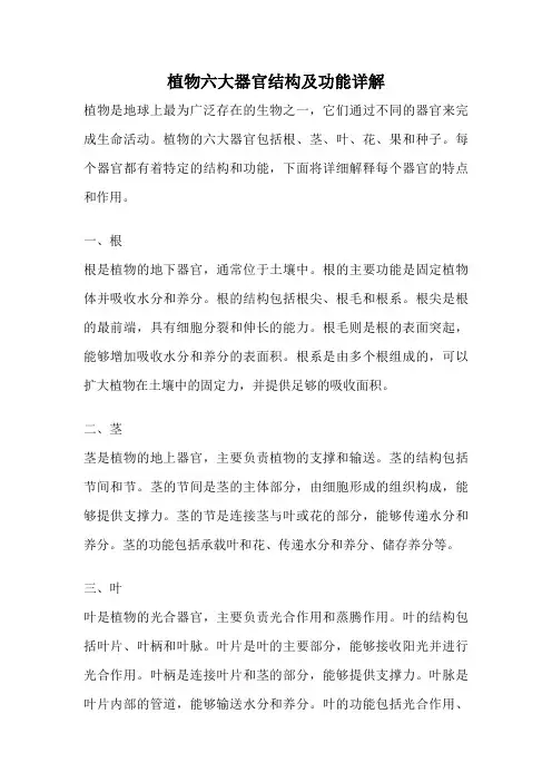 植物六大器官结构及功能详解