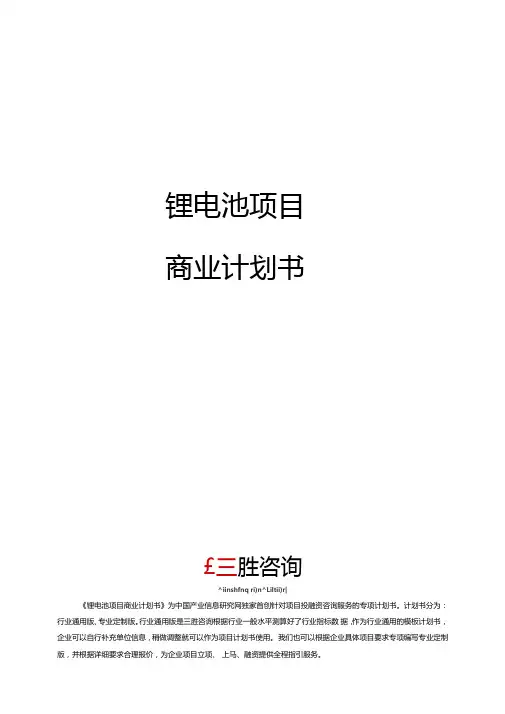 锂电池项目商业计划书