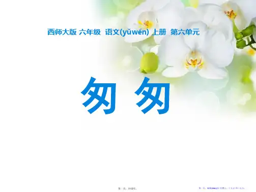 《匆匆》PPT课件