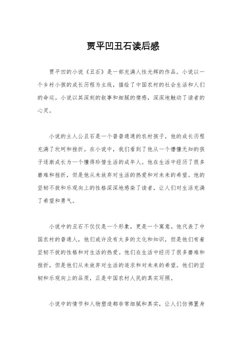 贾平凹丑石读后感
