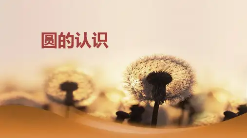 五年级下册数学课件圆的认识苏教版