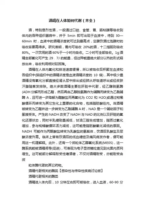 酒精在人体如何代谢（齐全）