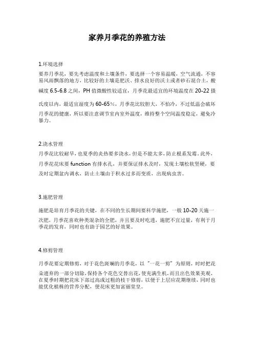 家养月季花的养殖方法