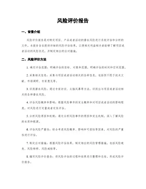风险评价报告