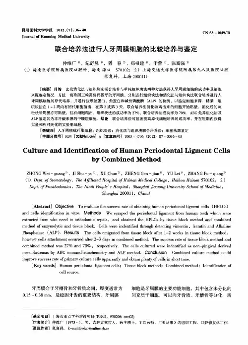 联合培养法进行人牙周膜细胞的比较培养与鉴定