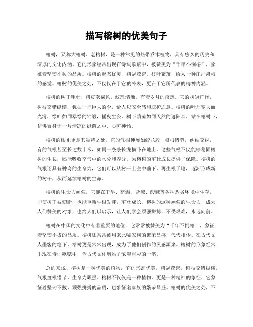 描写榕树的优美句子