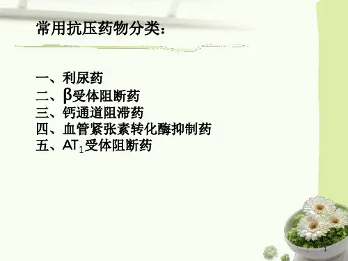 常用抗高血压药物