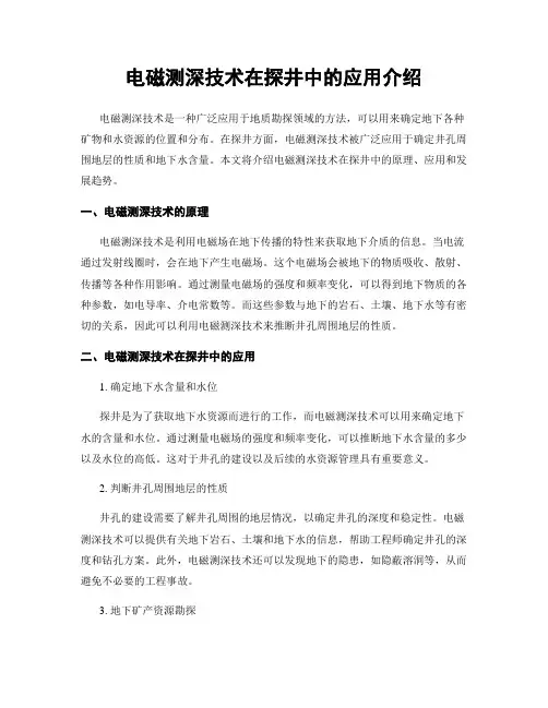 电磁测深技术在探井中的应用介绍