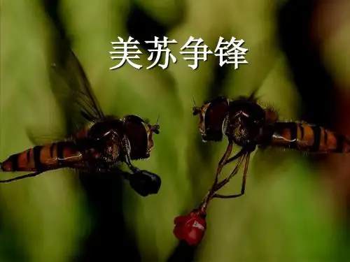 一、两极格局的形成