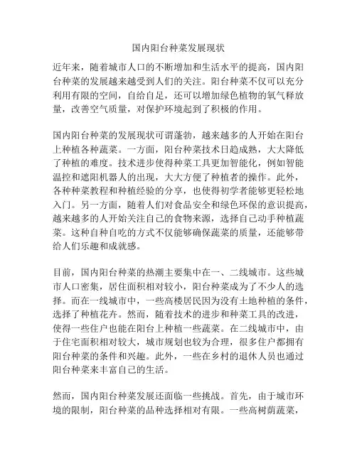 国内阳台种菜发展现状