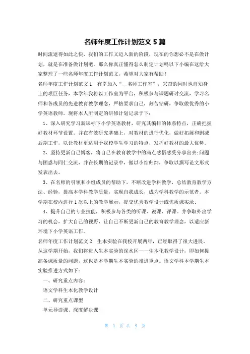 名师年度工作计划范文5篇