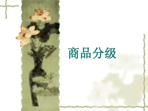 商品分级06-05