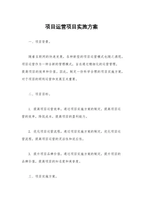 项目运营项目实施方案