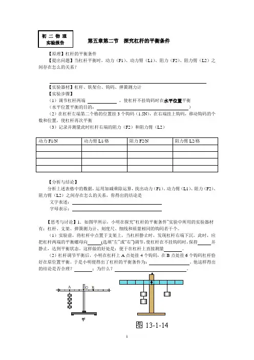实验报告——探究杠杆的平衡条件