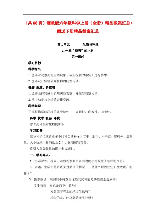 (共86页)湘教版六年级科学上册(全册)精品教案汇总 赠送下册精品教案汇总 (2)