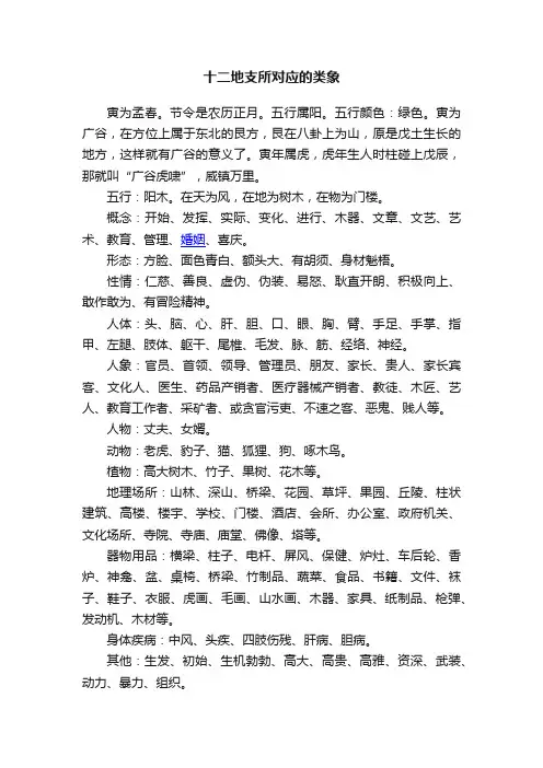 十二地支所对应的类象