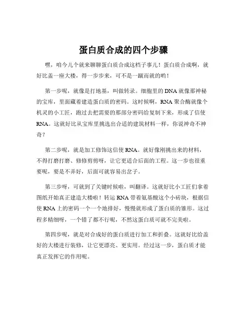 蛋白质合成的四个步骤