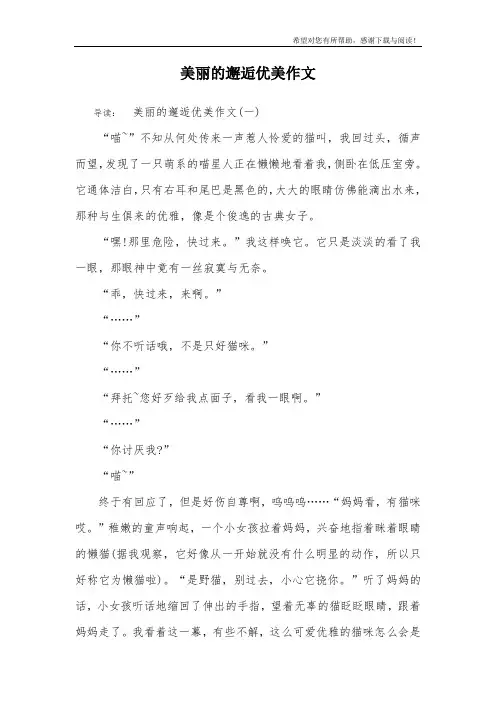 美丽的邂逅优美作文
