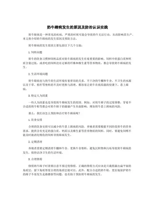 奶牛蹄病发生的原因及防治认识实践