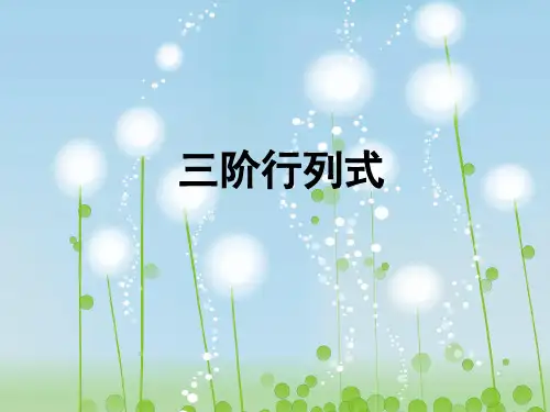 三阶行列式PPT教学课件