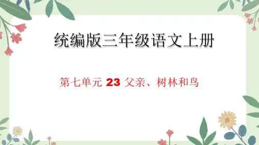 父亲、树林和鸟ppt课件
