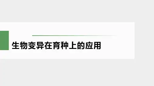 新教材新高考生物复习专题-生物变异在育种上的应用