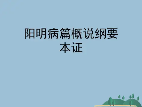 阳明病篇概说纲要本证