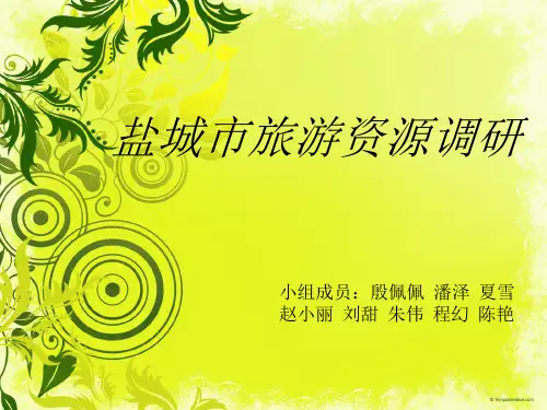 盐城旅游资源调研
