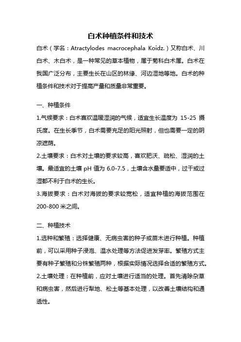 白术种植条件和技术