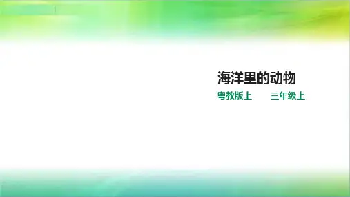 粤教版小学科学新三年级上册科学1.5《海洋里的动物》(课件)