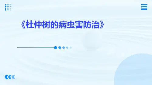 杜仲树的病虫害防治