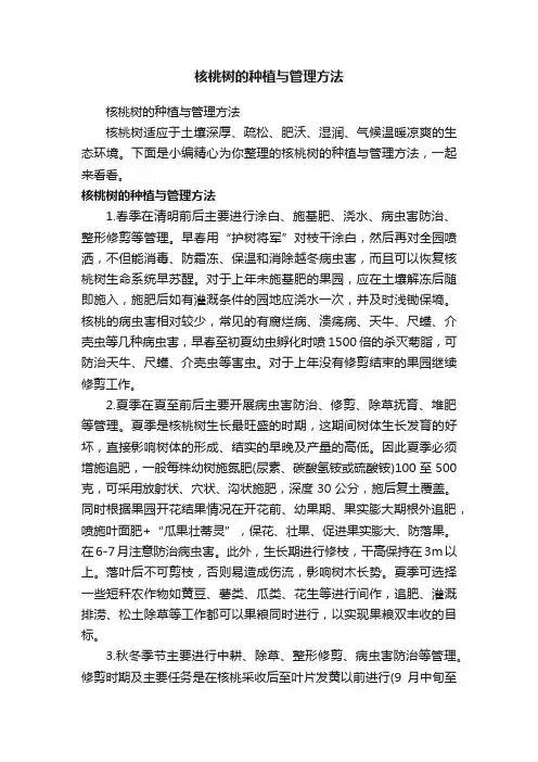 核桃树的种植与管理方法