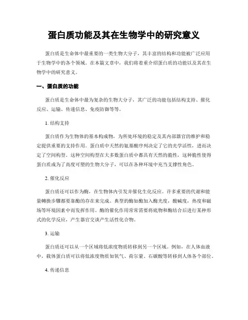 蛋白质功能及其在生物学中的研究意义