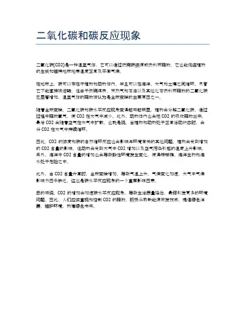 二氧化碳和碳反应现象